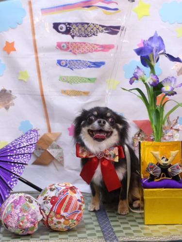 20240501らんまるちゃん